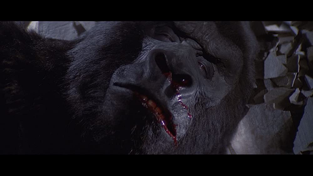 ケンタッキー・フライド・ムービーの画像