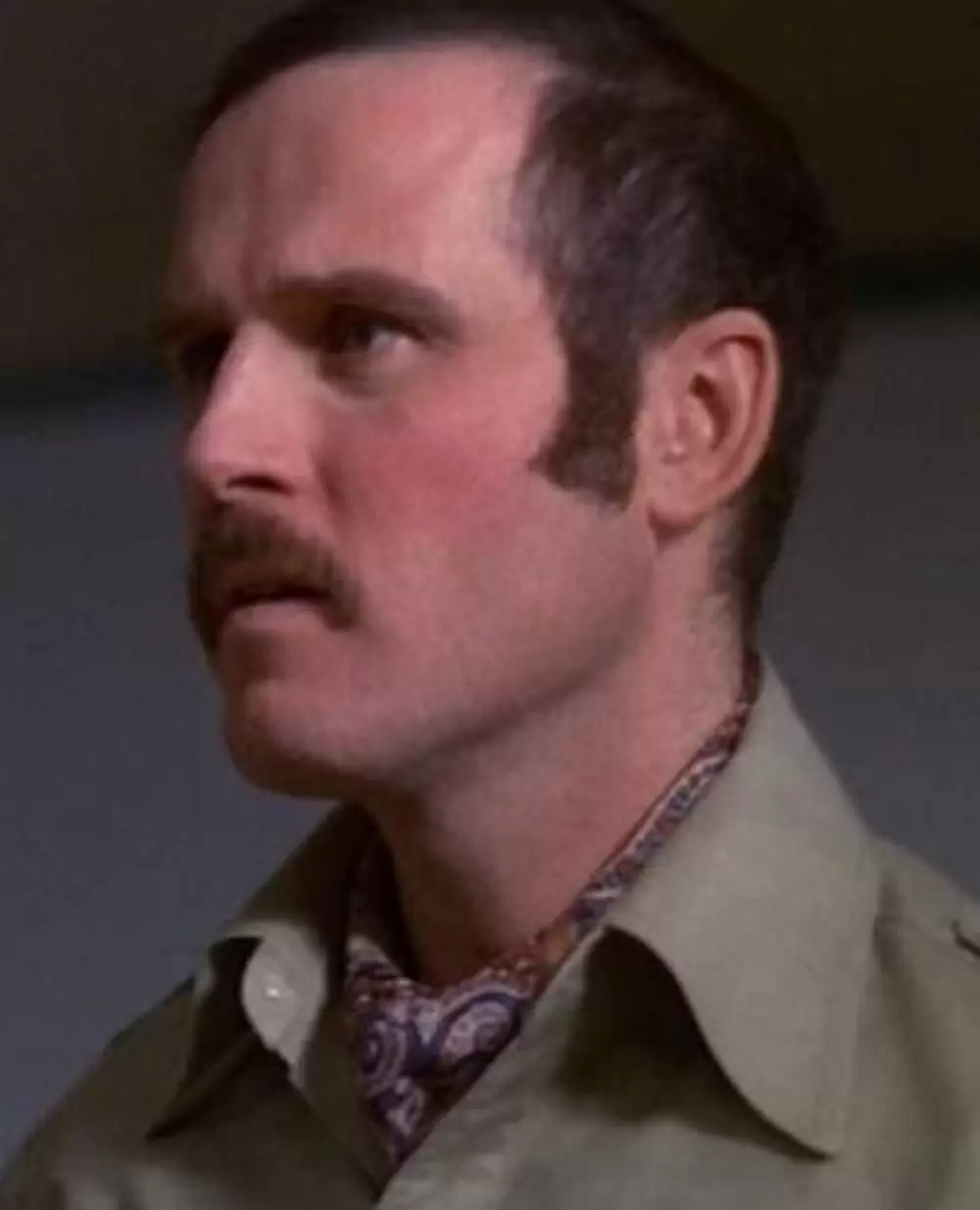 キングコングの画像