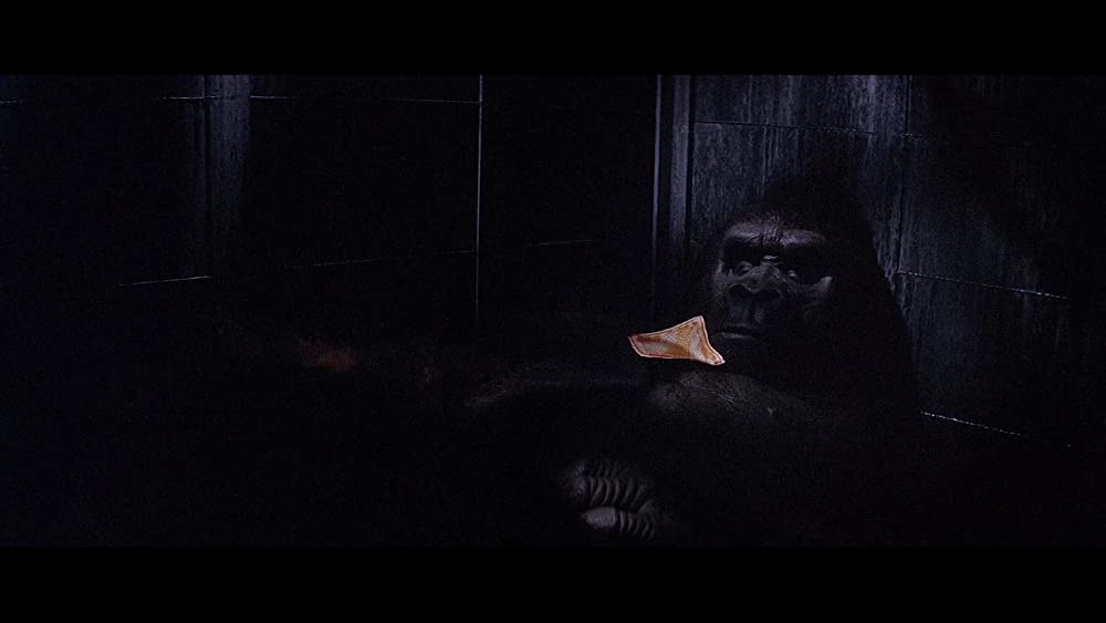 キングコングの画像