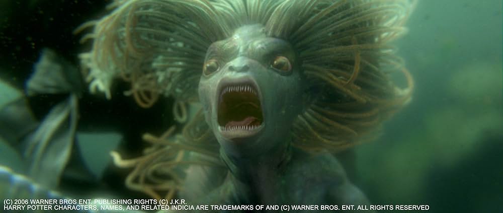 ハリー・ポッターと炎のゴブレットの画像