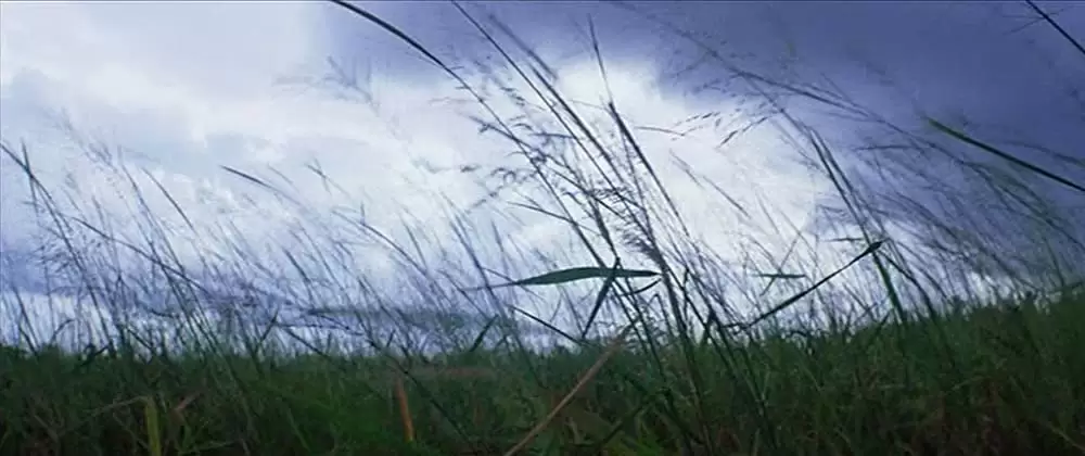 ニュー・ワールドの画像