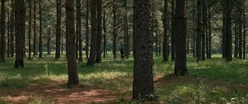 ニュー・ワールドの画像