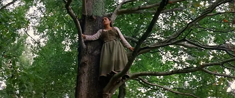 ニュー・ワールドの画像