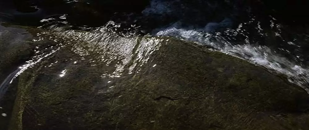 ニュー・ワールドの画像