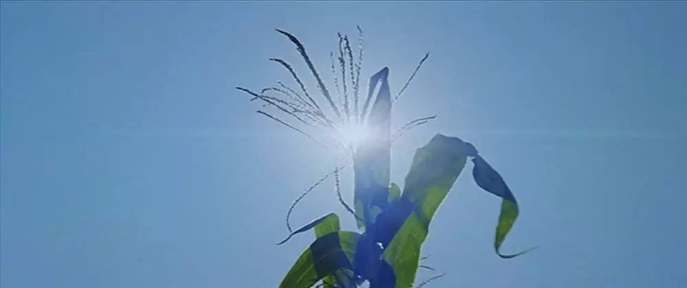 ニュー・ワールドの画像