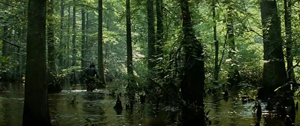 ニュー・ワールドの画像