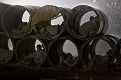 ツォツィの画像