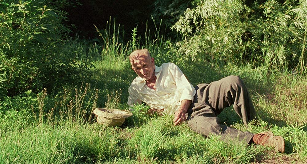 君の名前で僕を呼んでの画像