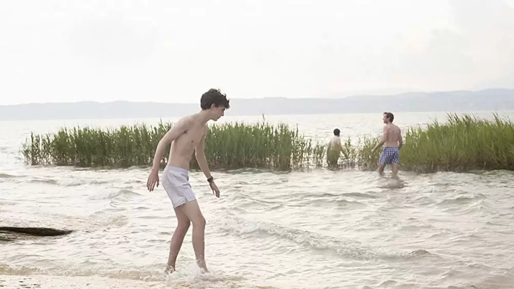 「君の名前で僕を呼んで」マイケル・スタールバーグ & アーミー・ハマー & ティモシー・シャラメの画像