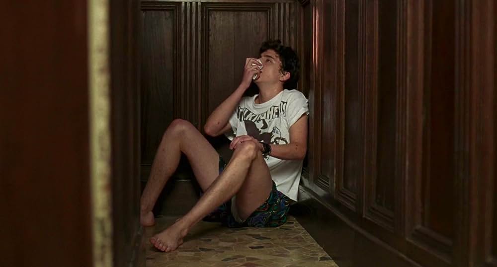 君の名前で僕を呼んでの画像