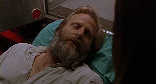 イカとクジラの画像