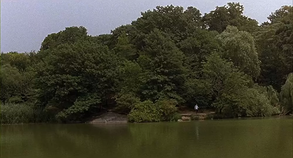 「イカとクジラ」ジェシー・アイゼンバーグの画像