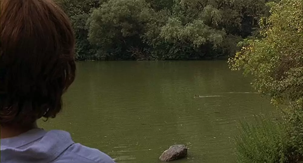 「イカとクジラ」ジェシー・アイゼンバーグの画像