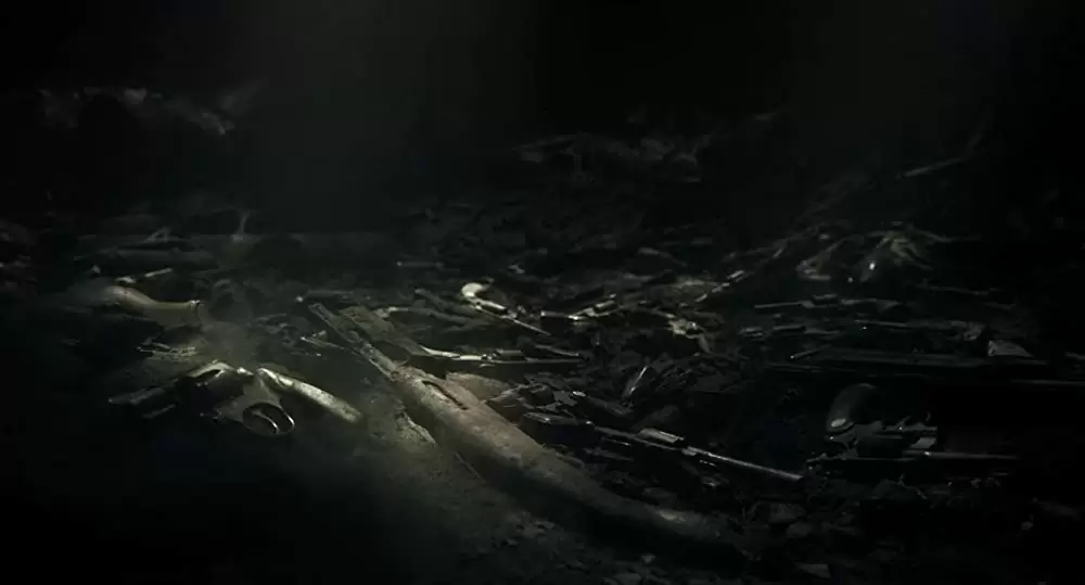 アイリッシュマンの画像