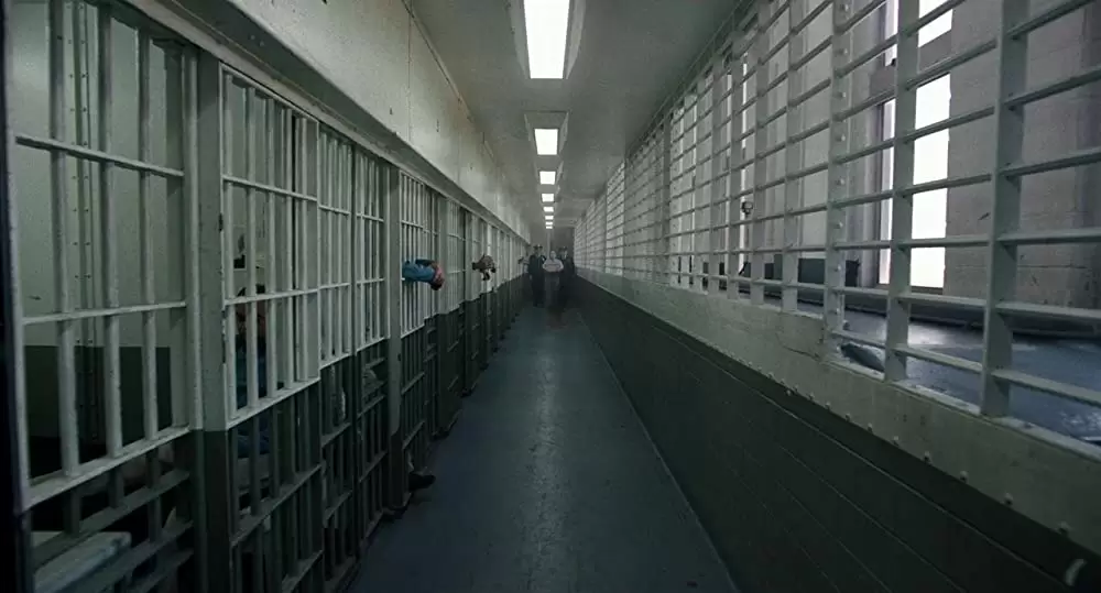 アイリッシュマンの画像