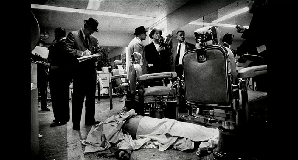 アイリッシュマンの画像