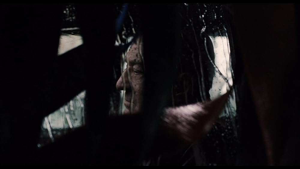 アイリッシュマンの画像