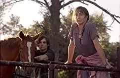 トランスアメリカの画像