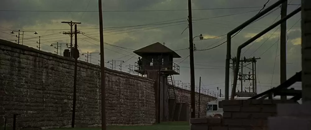 ウォーク・ザ・ライン／君につづく道の画像