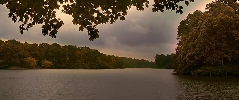 ウォーク・ザ・ライン／君につづく道の画像