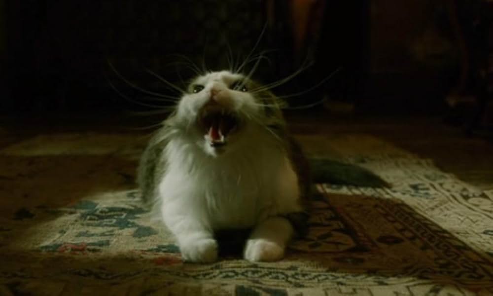 シェイプ・オブ・ウォーターの画像