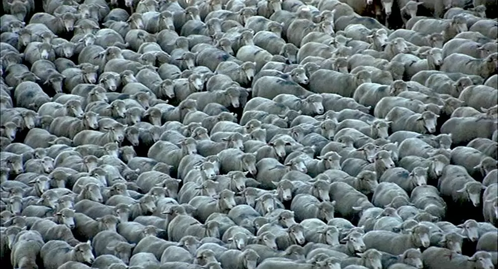 ブロークバック・マウンテンの画像