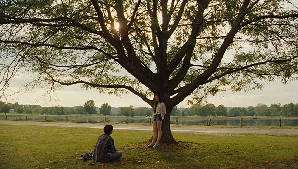 聖なる鹿殺し キリング・オブ・ア・セイクリッド・ディアの画像