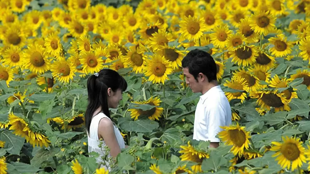 いま、会いにゆきますの画像