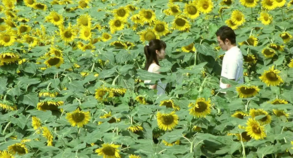 いま、会いにゆきますの画像