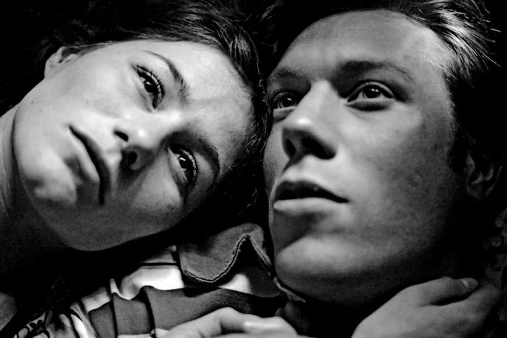 ダーク・ホースの画像