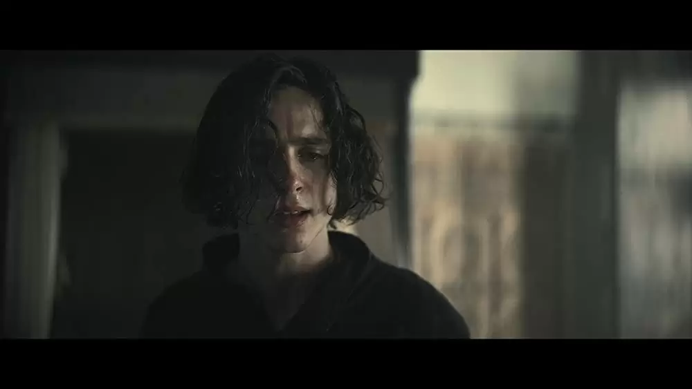 「キング」ティモシー・シャラメの画像