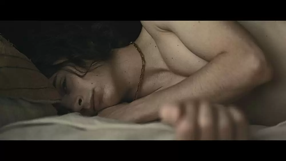 「キング」ティモシー・シャラメの画像