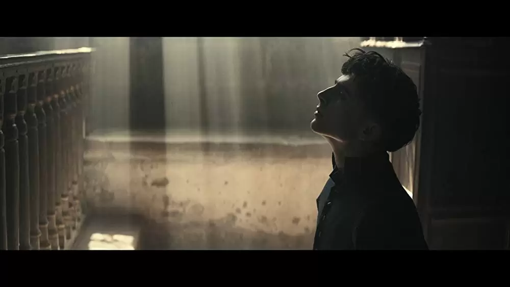 「キング」ティモシー・シャラメの画像