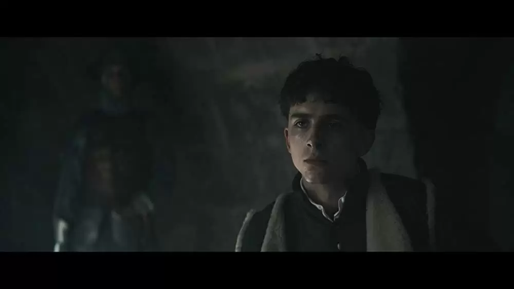 「キング」ティモシー・シャラメの画像