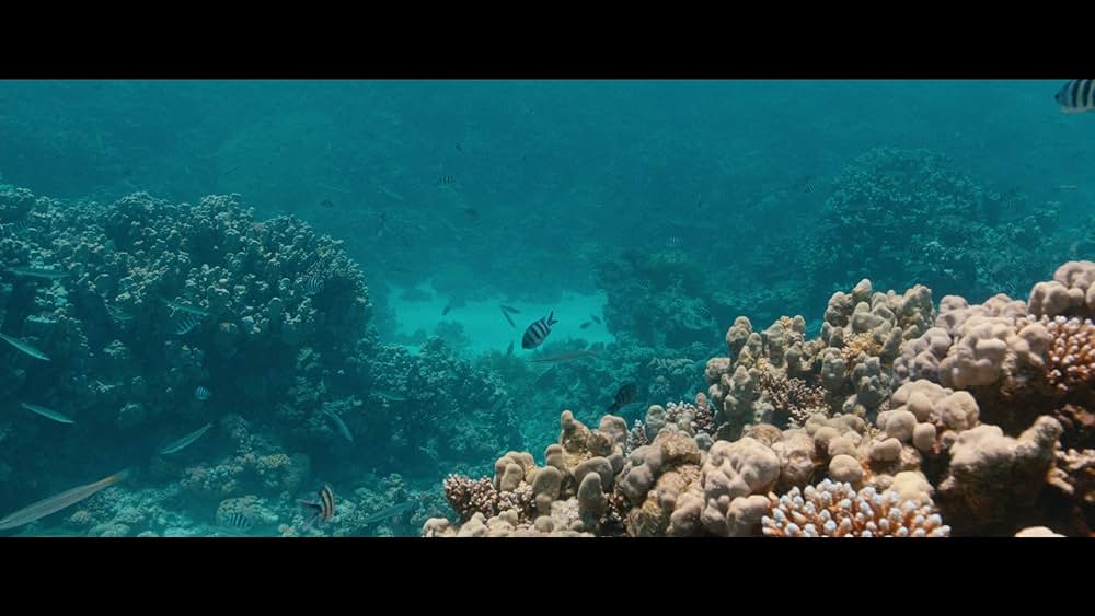 王様のためのホログラムの画像