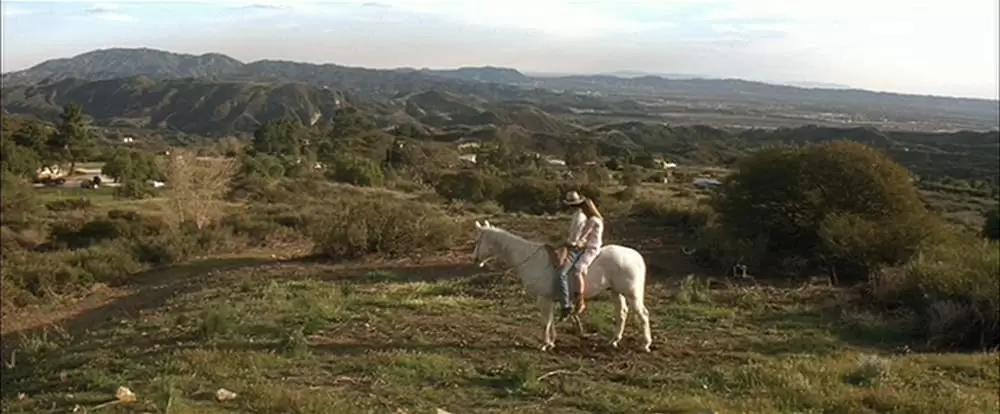 ダウン・イン・ザ・バレーの画像