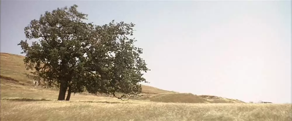 ダウン・イン・ザ・バレーの画像