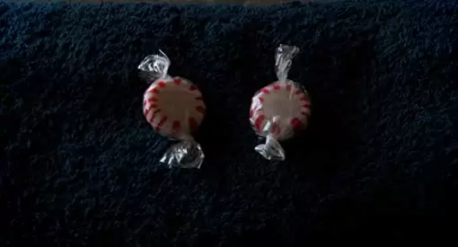 君とボクの虹色の世界の画像