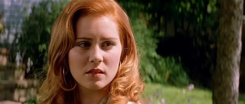 秘密のかけらの画像