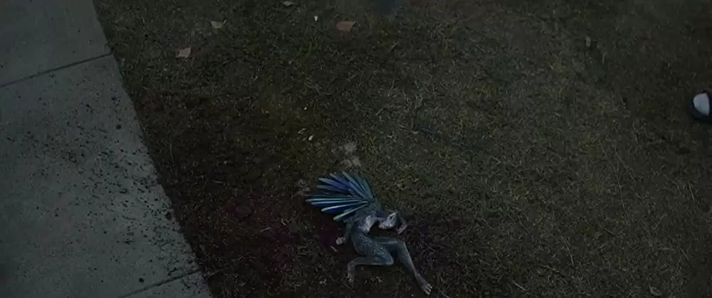 ブライトの画像