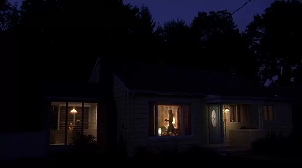 「ブロークン・フラワーズ」ビル・マーレイ & シャロン・ストーン & アレクシス・ジーナの画像