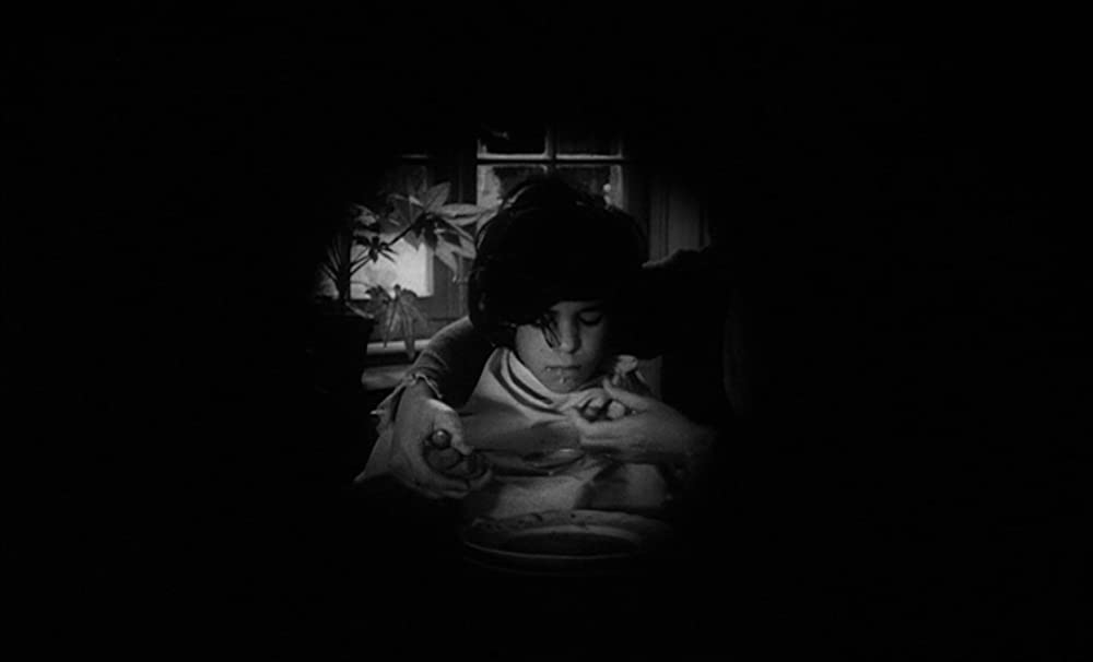 野性の少年の画像