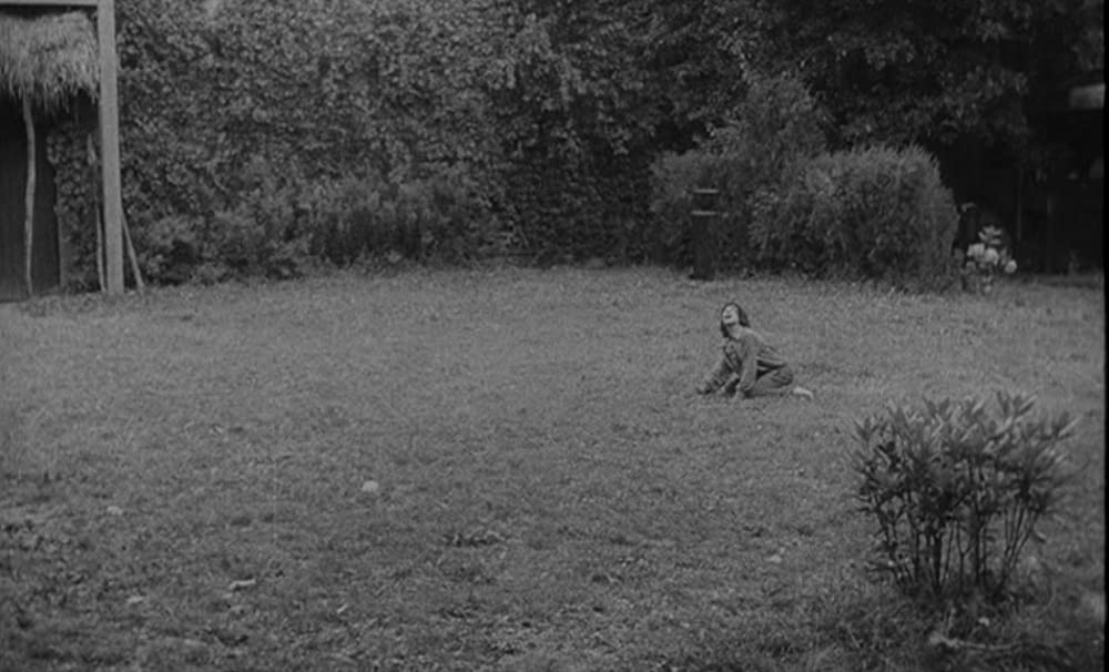 野性の少年の画像