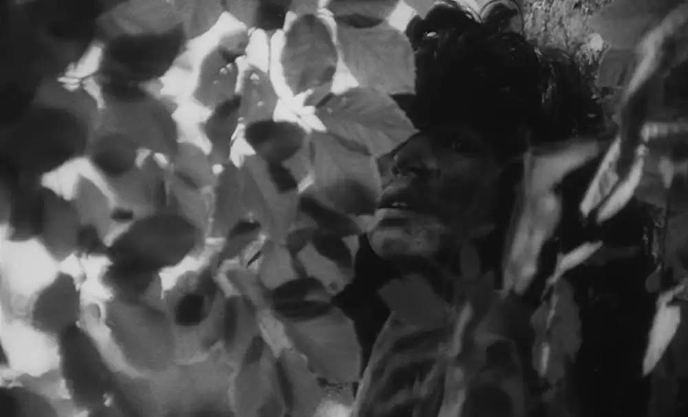 「野性の少年」Jean-Pierre Cargolの画像