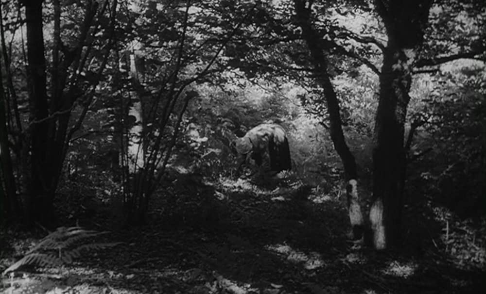 野性の少年の画像