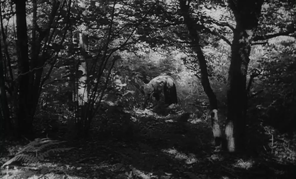 「野性の少年」Gitt Magriniの画像