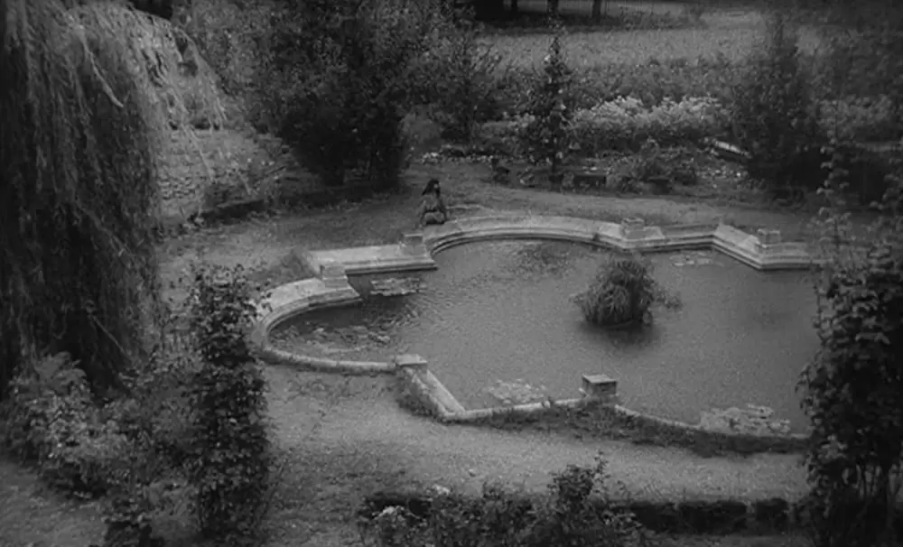 野性の少年の画像