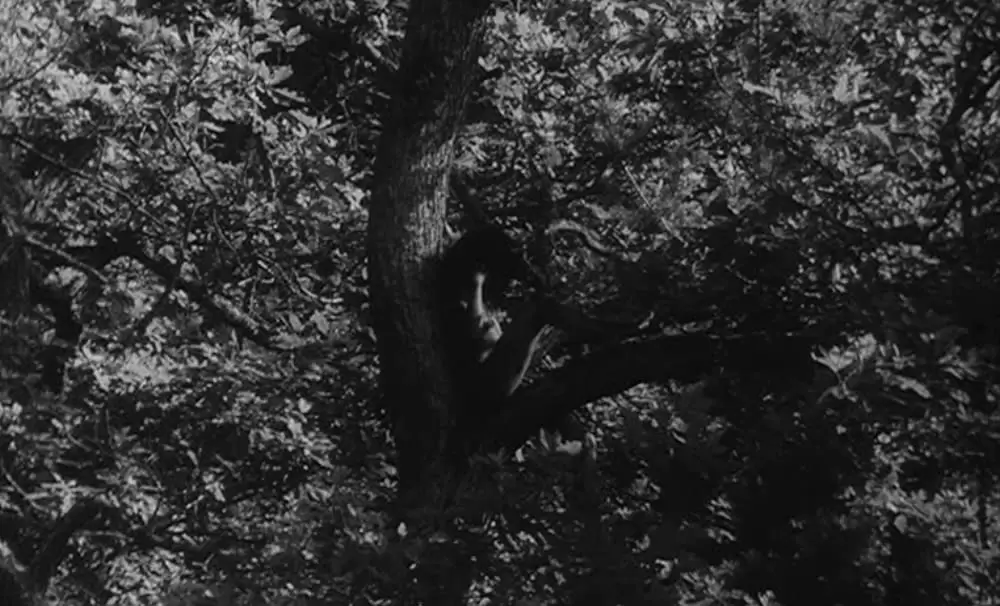 「野性の少年」Jean-Pierre Cargolの画像