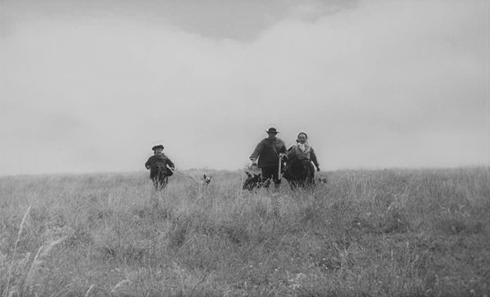 野性の少年の画像