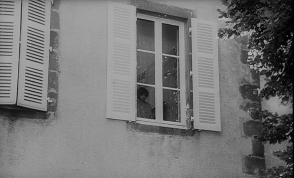 野性の少年の画像